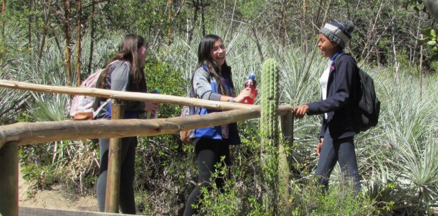 Colegio TDG El Bosque realiza trekking a Río Clarillo