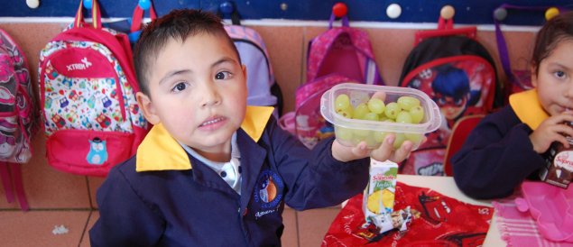 TDG La Granja implementa programa de colaciones saludables en Kínder y Pre-Kínder