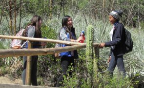 Colegio TDG El Bosque realiza trekking a Río Clarillo