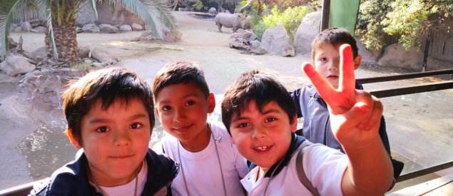 Estudiantes de 2º básico del TDG Lo Prado visitan el Buin Zoo y firman compromiso con la naturaleza