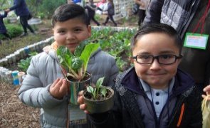 Pequeños/as del TDG La Granja visitan el Centro de Acopio municipal para aprender sobre el reciclaje