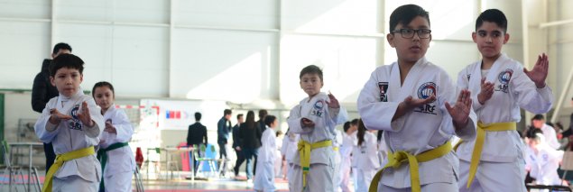 11 medallas: entre Oro, Plata y Bronce obtuvieron estudiantes del CSE en “Torneo Inter-escolar de TAEKWON-DO ITF”