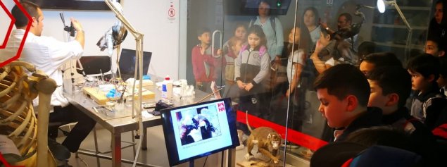 Segundo básico del TDG Lo Prado visita la Quinta Normal para aprender sobre flora y fauna autóctona de Chile Segundo básico del TDG Lo Prado visita la Quinta Normal para aprender sobre flora y fauna autóctona de Chile