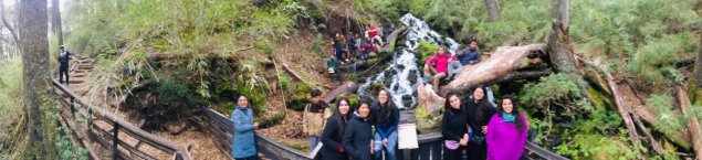 En la Región de la Araucanía se vivió el último campamento del año del Taller de senderismo del CSE