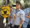 Grupo Scout del TDG El Bosque vive su campamento de verano inspirado en tradición Rapa Nui