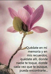 Imagen foto_00000008