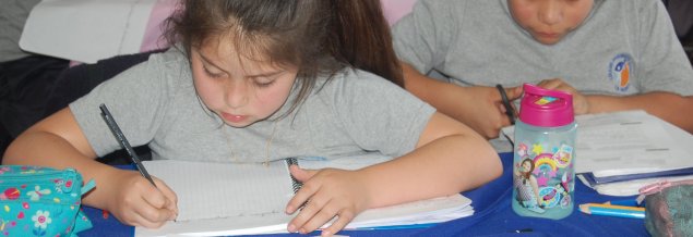 TDG La Granja informa Plan de Funcionamiento para el año académico 2021 TDG La Granja informa Plan de Funcionamiento para el año académico 2021