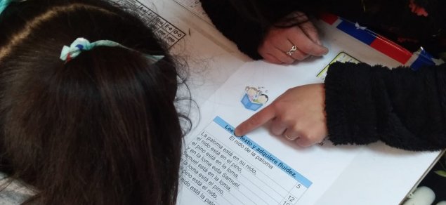 TDG El Bosque diseña completo plan de trabajo para el aprendizaje de lectura en niveles de 1º a 4º básico