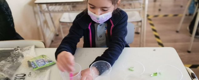 Estudiantes de 1º y 2º básico del TDG El Bosque experimentan para aprender sobre las características del agua Estudiantes de 1º y 2º básico del TDG El Bosque experimentan para aprender sobre las características del agua