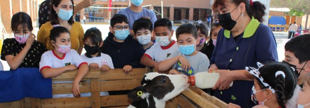 Estudiantes del CS La Florida viven mágica jornada con visita de granja educativa