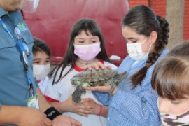 Granja educativa sorprende a estudiantes de Kínder a 4º básico durante la jornada de este viernes 29 de octubre