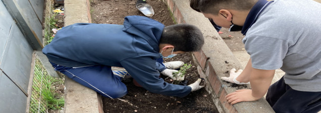 Estudiantes de TDG El Bosque se comprometen con el cuidado de su entorno y el medio ambiente