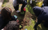 Estudiantes de TDG El Bosque se comprometen con el cuidado de su entorno y el medio ambiente