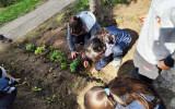 TDG El Bosque celebra el Mes del Medioambiente inaugurando su huerta comunitaria