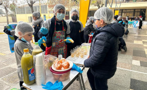 Feria de Vida Saludable - TDG El Bosque