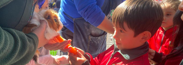 Pre-Básica del CS Emprendedores aprende sobre los animales y el medioambiente con visita de la Granja Educativa Pre-Básica del CS Emprendedores aprende sobre los animales y el medioambiente con visita de la Granja Educativa
