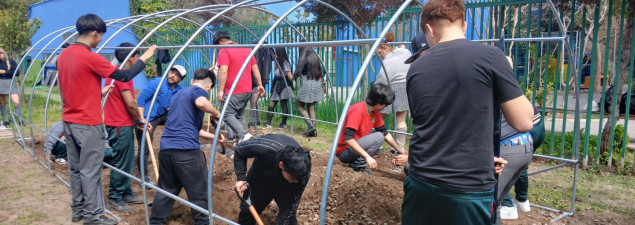 Electivo de Biología del CS Emprendedores crea huerto escolar sembrando especies nativas y locales Electivo de Biología del CS Emprendedores crea huerto escolar sembrando especies nativas y locales